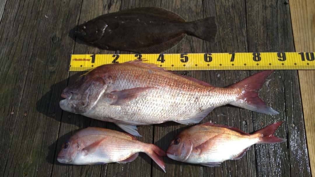 黒丸さん キャピタルマリーナ