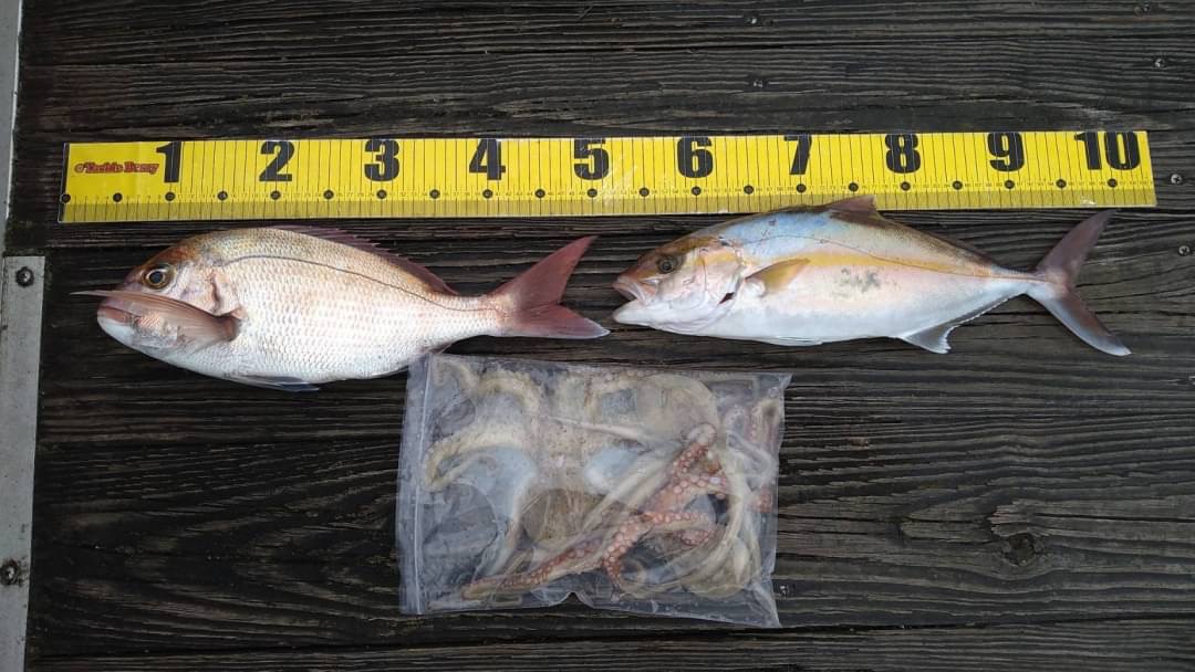 黒丸さん キャピタルマリーナ